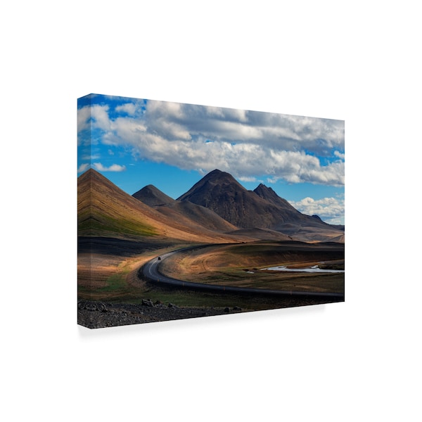 Jure Kravanja 'Iceland' Canvas Art,16x24